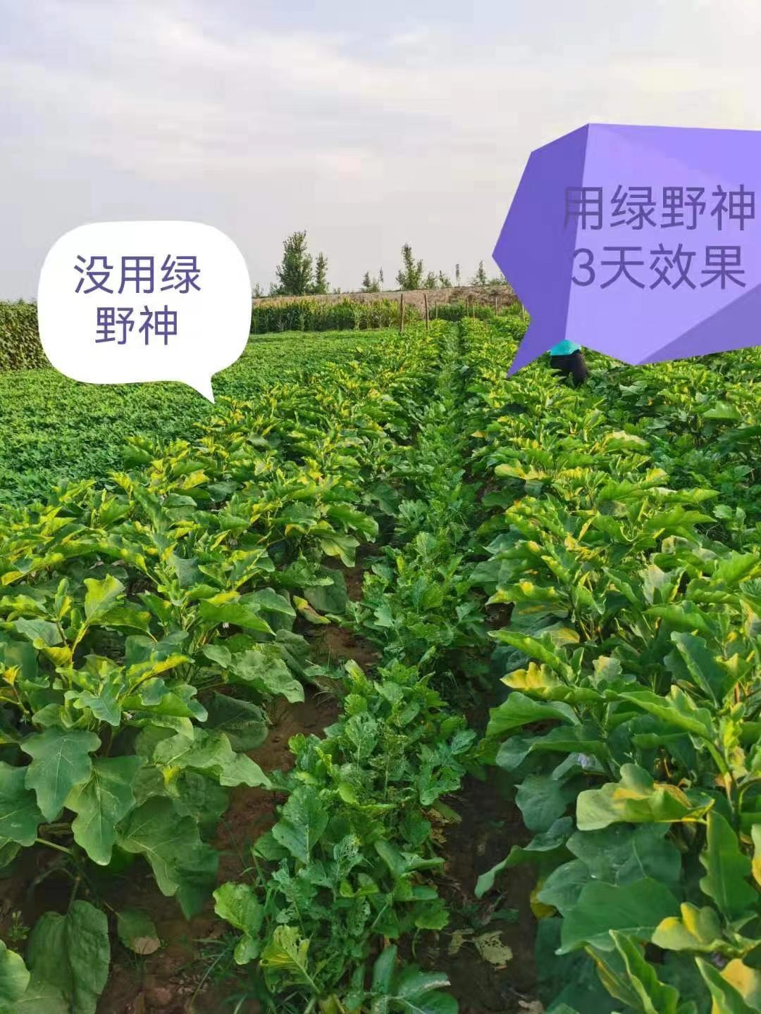 成功案例1