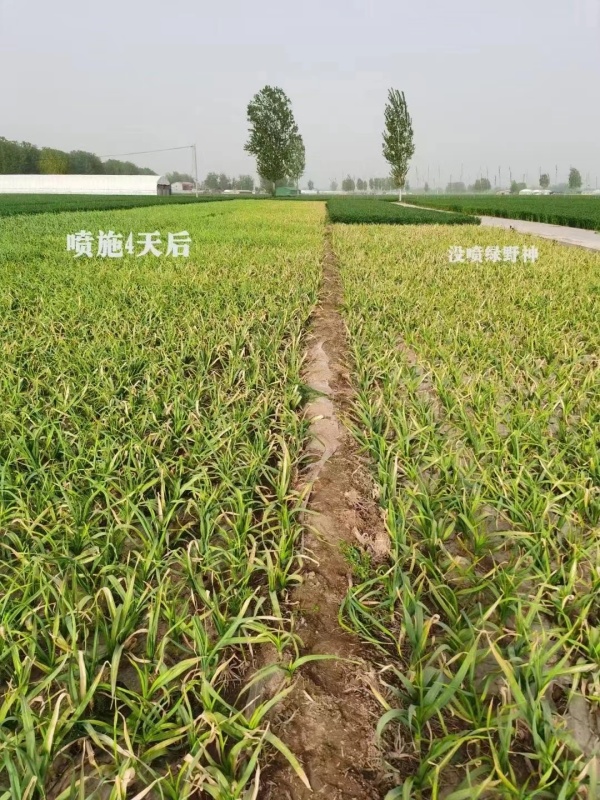 成功案例2